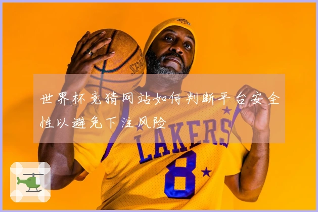 世界杯竞猜网站如何判断平台安全性以避免下注风险