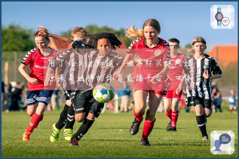 用了好久才知道，世界杯买球网址原来是这样的体育直播平台入口体验