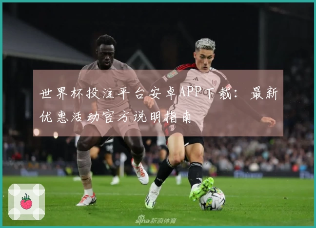 世界杯投注平台安卓APP下载：最新优惠活动官方说明指南