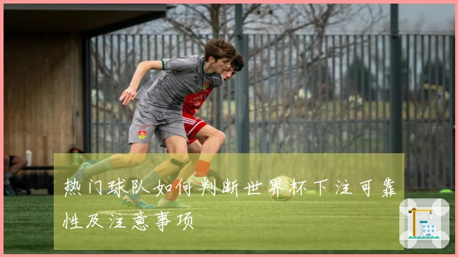 热门球队如何判断世界杯下注可靠性及注意事项