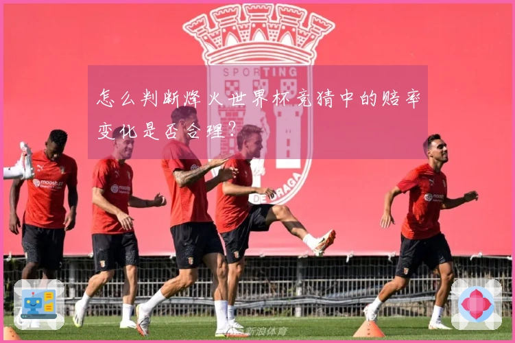 怎么判断烽火世界杯竞猜中的赔率变化是否合理？