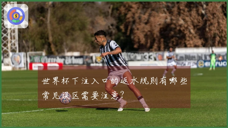世界杯下注入口的返水规则有哪些常见误区需要注意？