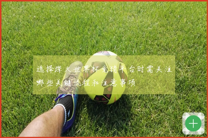 选择烽火世界杯竞猜平台时需关注哪些关键流程和注意事项