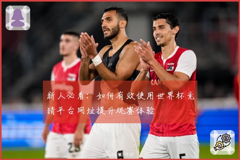 新人必看：如何有效使用世界杯竞猜平台网址提升观赛体验