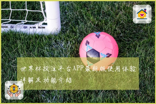 世界杯投注平台APP最新版使用体验详解及功能介绍