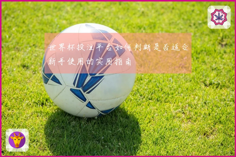 世界杯投注平台如何判断是否适合新手使用的实用指南