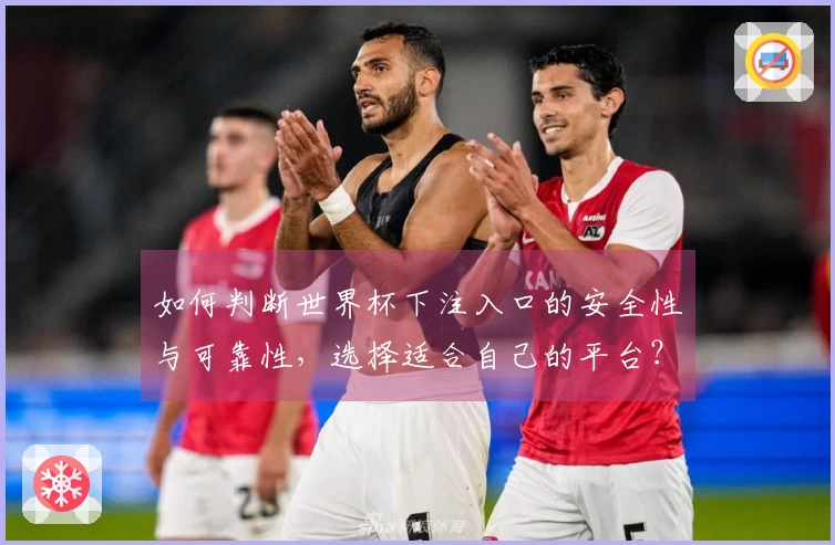 如何判断世界杯下注入口的安全性与可靠性，选择适合自己的平台？