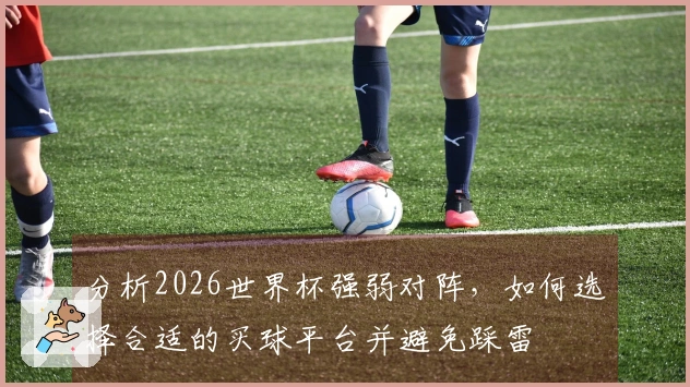 分析2026世界杯强弱对阵，如何选择合适的买球平台并避免踩雷