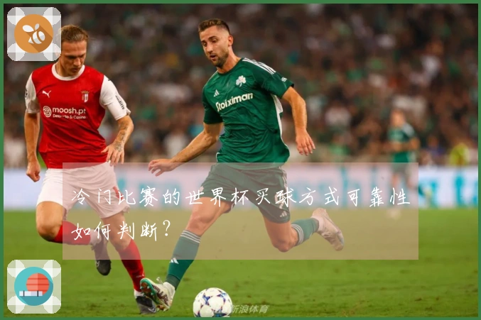 冷门比赛的世界杯买球方式可靠性如何判断?