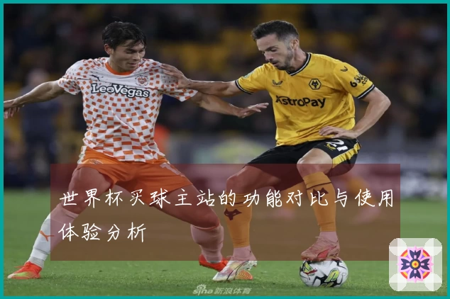 世界杯买球主站的功能对比与使用体验分析