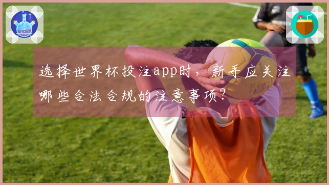 选择世界杯投注app时，新手应关注哪些合法合规的注意事项？