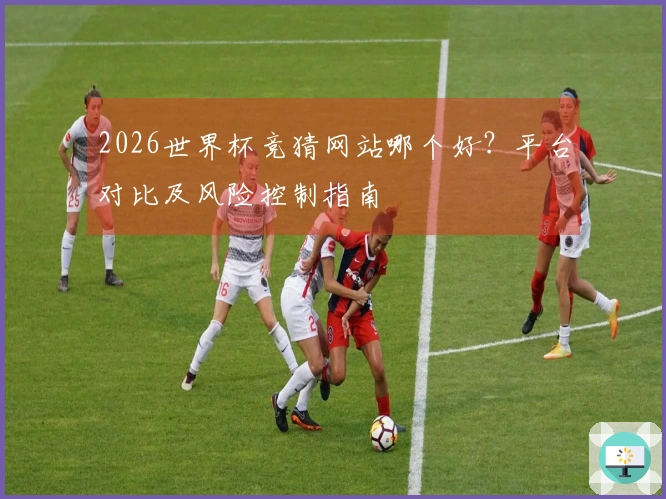 2026世界杯竞猜网站哪个好？平台对比及风险控制指南