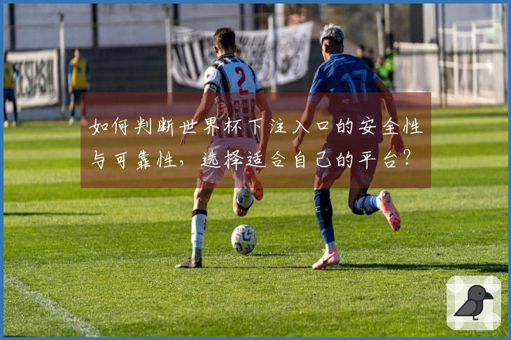 如何判断世界杯下注入口的安全性与可靠性，选择适合自己的平台？