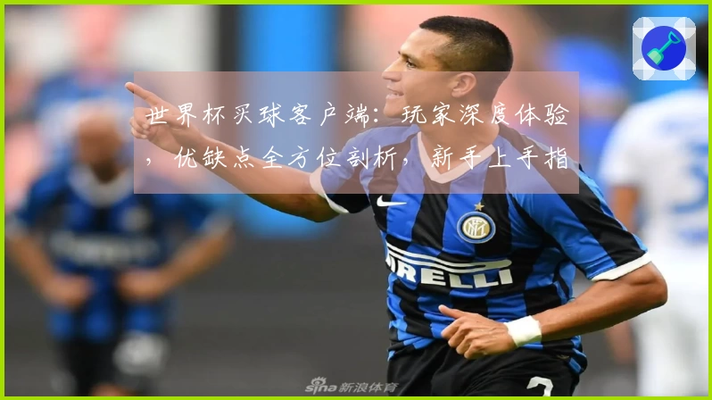 世界杯买球客户端：玩家深度体验，优缺点全方位剖析，新手上手指南。