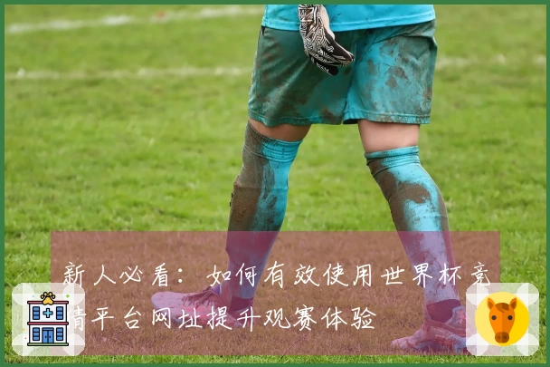新人必看：如何有效使用世界杯竞猜平台网址提升观赛体验